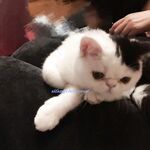 百度云泄密流出 平时斯斯文文学舞蹈的妹子 被分手的男友曝光不为人知的一面 高清私拍400P 高清1080P版