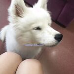 百度云泄密流出 平时斯斯文文学舞蹈的妹子 被分手的男友曝光不为人知的一面 高清私拍400P 高清1080P版