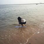 百度云泄密流出 平时斯斯文文学舞蹈的妹子 被分手的男友曝光不为人知的一面 高清私拍400P 高清1080P版