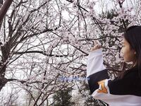 百度云泄密流出 平时斯斯文文学舞蹈的妹子 被分手的男友曝光不为人知的一面 高清私拍400P 高清1080P版