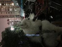 百度云泄密流出 平时斯斯文文学舞蹈的妹子 被分手的男友曝光不为人知的一面 高清私拍400P 高清1080P版