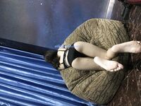 百度云泄密流出 平时斯斯文文学舞蹈的妹子 被分手的男友曝光不为人知的一面 2