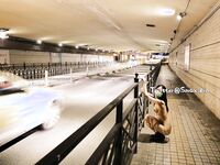 【外网精选】推特Smaxskin& FMiu00主奴博主视图新作合集