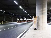 【外网精选】推特Smaxskin& FMiu00主奴博主视图新作合集