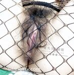 北京一对夫妻私房照泄露