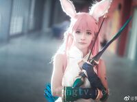 Douyin Dog Head Loli Collection-Spider-Man