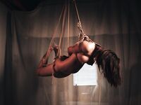 Bộ sưu tập đầy đủ các quan điểm của Kaguya