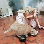 Onlyfans 奶咪 视图合集 1