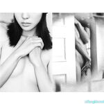 Ang modelong Shanghai ng Queen's Queen ni Uncle Wang Dongdou na si Ada ay isang malakihang koleksyon