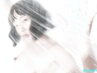 Ang modelong Shanghai ng Queen's Queen ni Uncle Wang Dongdou na si Ada ay isang malakihang koleksyon