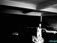 Ang modelong Shanghai ng Queen's Queen ni Uncle Wang Dongdou na si Ada ay isang malakihang koleksyon