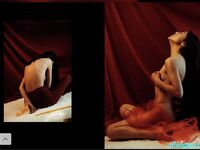 Ang modelong Shanghai ng Queen's Queen ni Uncle Wang Dongdou na si Ada ay isang malakihang koleksyon