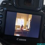 Ang modelong Shanghai ng Queen's Queen ni Uncle Wang Dongdou na si Ada ay isang malakihang koleksyon