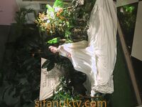 最新破解良家小媳婦沒有男人，自己在家自慰