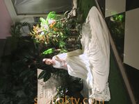 最新破解良家小媳婦沒有男人，自己在家自慰