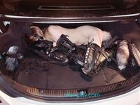 高能量預警穴生幹部.悠悠極品反差女神大尺度流出