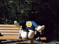 韩国小母狗『B5rass』重口调教 拳头塞逼 扩肛训练 裸体夜行 深喉啪啪