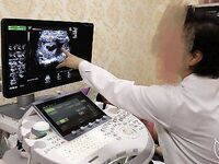 4 ほぼ 2 か月後、私、張滬国は再び娘の体に侵入しました。