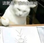 12 人のトップポルノマスター「アンクルシェイク + ビッグデビル + アンクルシェイク」を選択し、「Shui Bingyue + Tang Tang」とコラボレーションするクールな 11 月 %20