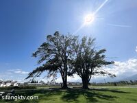 การถ่ายภาพ Dawei - เรื่องราวของอาจารย์ Jiayin และนางแบบแสนสวยและมีมูลค่าสูงของเขา เขาฝึกให้พวกเขาเชื่อฟังทีละคน และเปลี่ยนเพศไปทีละวัน