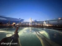 การถ่ายภาพ Dawei - เรื่องราวของอาจารย์ Jiayin และนางแบบแสนสวยและมีมูลค่าสูงของเขา เขาฝึกให้พวกเขาเชื่อฟังทีละคน และเปลี่ยนเพศไปทีละวัน