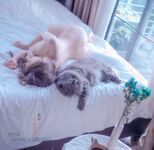 微博19W网红G奶女神『樱晚』最新大尺度主题私拍《红酒与她》极致唯美幽魂诱惑高清