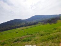 高顏美乳女神博主『杭州玩偶』聯動蘿莉閨蜜『瑩兒』性感來臨 護士界的李小璐 高清