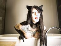 1488 영구 멤버십 + 다양한 피드(상위 멤버십 리소스에는 워터마크가 없으며 몇 분 분량의 동영상에는 매번 하나의 피드가 필요하며 총 가격은 2000+RMB입니다.)