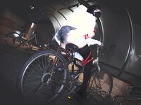 价值40美金韩国高端摄影顶级女神▌Aram▌调教露出肛塞尾巴束缚跳蛋控制潮吹漏尿美人胚反差婊