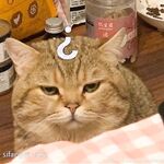 推特57万粉网红女神『一只云烧』最新OF订阅私拍童颜巨乳各式COS极度魅惑高清