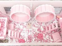 推特萝莉女神『落落Raku』超大尺度COS动漫私拍《淫欲女皇》超美诱惑 