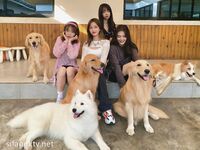 私房一月最新流出『魔手外购』极品厕拍《艺校极品学生妹》(同学)4 大尺度挑逗撩骚超水灵2