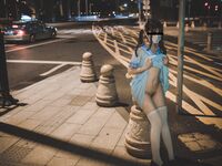 ผจญภัยสวนโหยวเมี่ยวเจียง