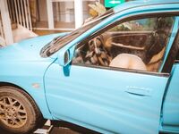 Youmiaojiang - เทพธิดาฮ่องกงเปิดเผยอย่างสมบูรณ์แบบในตอนกลางคืน