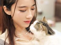 軒子高清無浮水印