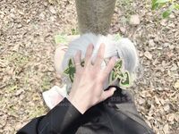 Kebajikan Ji@super lembut pussy cantik@gadis comel comel@rabbit comel lembut dan tuhan rumput lembut comel