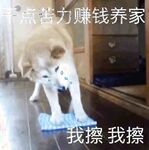 "Top⭐Heavyweight☛Club Premiere" Twitter ตรงกันข้ามในทางที่ผิด pansex fujoshi อาวุโส [Eve_S8899] น้ำอสุจิที่แข็งแกร่งสุด ๆ การฝึกน้ำศักดิ์สิทธิ์ชาย M หญิง M สามีซึ่งภรรยามีชู้ทาส 3P เพศคู่ร่างกายหยด 460P