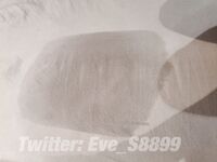 "Top⭐Heavyweight☛Club Premiere" Twitter ตรงกันข้ามในทางที่ผิด pansex fujoshi อาวุโส [Eve_S8899] น้ำอสุจิที่แข็งแกร่งสุด ๆ การฝึกน้ำศักดิ์สิทธิ์ชาย M หญิง M สามีซึ่งภรรยามีชู้ทาส 3P เพศคู่ร่างกายหยด 460P