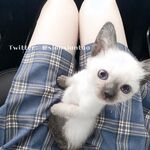 仙仙桃视图最全合集xw100056