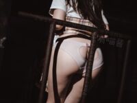 有喵醬 - 恥辱廁室 53P