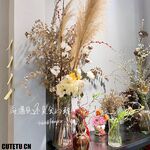 Xiao Aomiao-Kristal ZW