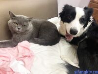 Twitter - Momotani Wakahimeko koleksi gambar bertaburan