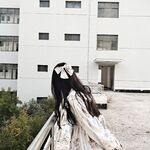 Twitter - Momotani Wakahimeko koleksi gambar bertaburan