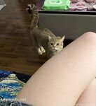 一只云烧最新OF订阅