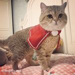 一只云烧最新OF订阅