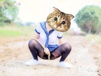 Large scale exposure at the intersection of the village near the school