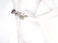 洛美酱- NO.014 OL装