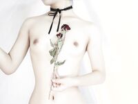 洛美酱- NO.014 OL装