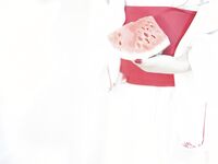 Lumeijiang-NO.020 バンドルプレイ