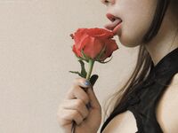 洛美酱- NO.007 旗袍玫瑰